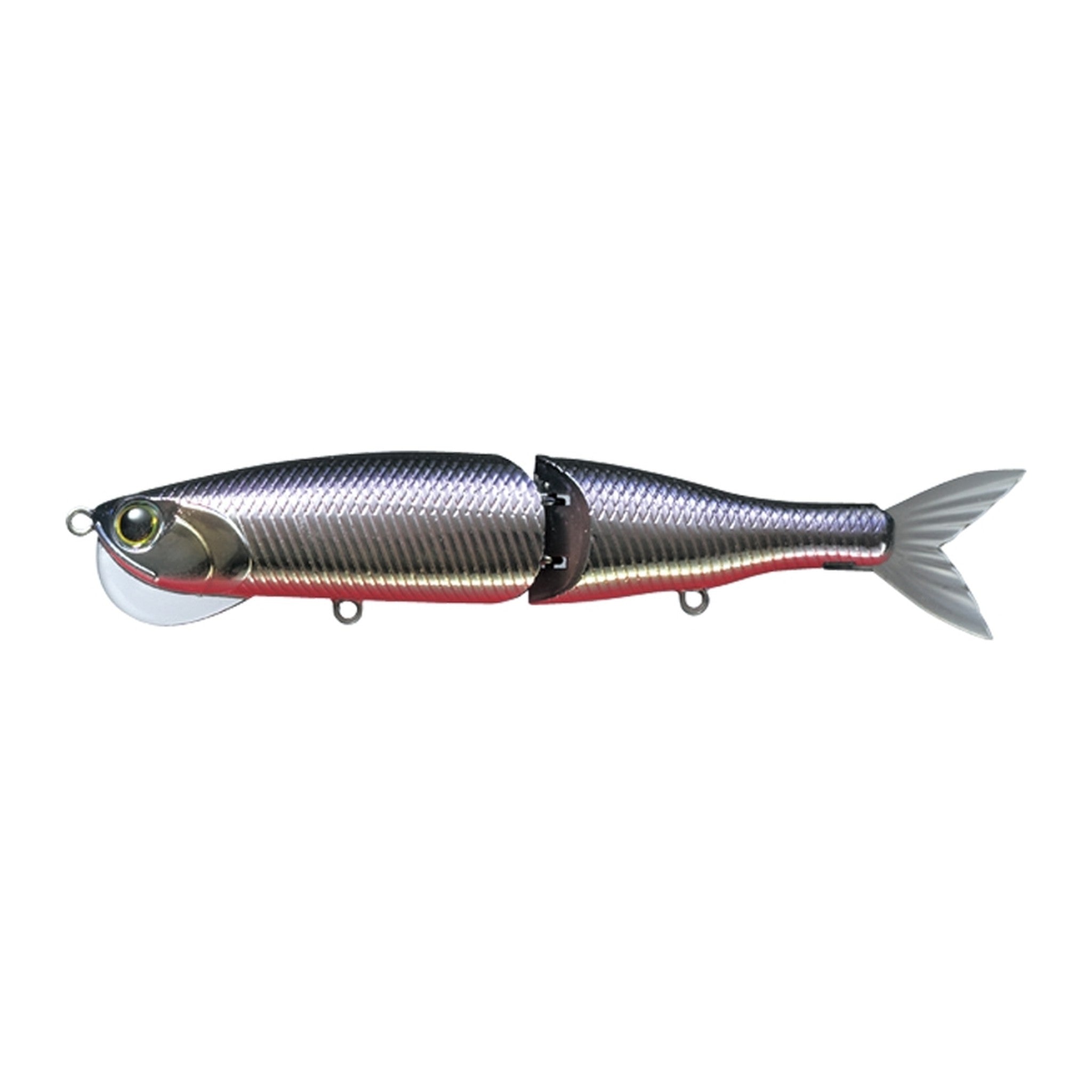 Evergreen Sea Drive in Katakuchi Red Belly — official Evergreen product photo