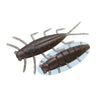 #123 Baby Crayfish