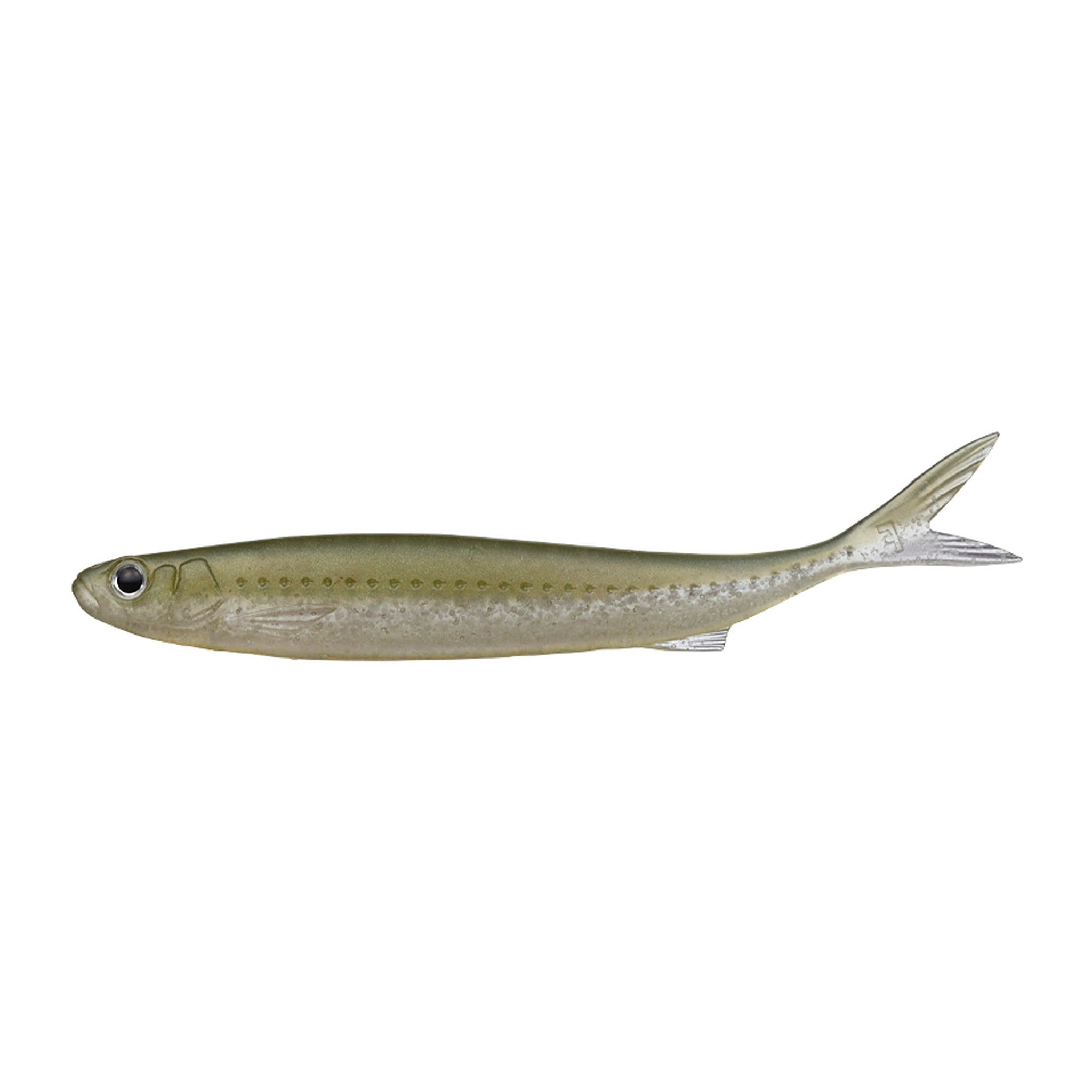 Evergreen Last Ace 128S in #97 Super Wakasagi (Super Smelt) — official Evergreen product photo