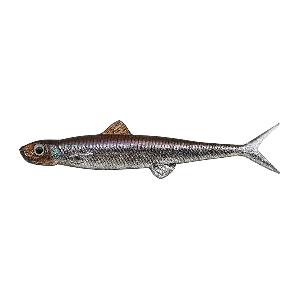 Evergreen Last Ace 95F in #41 Wakasagi (Smelt) — official Evergreen product photo