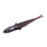 Scuppernong Goby