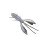 #14 Mottled Shrimp
