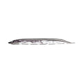 Fish Arrow Flash-J Shirasu 3in SW — #104 Katakuchi Iwashi / Silver — FA-FJSR3-104