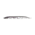 Fish Arrow Flash-J Shirasu 3in SW — #104 Katakuchi Iwashi / Silver — FA-FJSR3-104