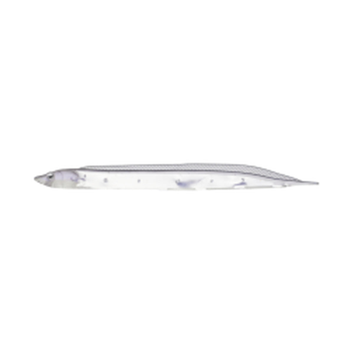 Fish Arrow Flash-J Shirasu 3in SW — #146 Keimura Clear / Silver — FA-FJSR3-146