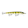 GDYP - Gilded Yellow Perch