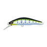 #13 Salmon Fry