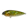 39 CH-OLIVE
