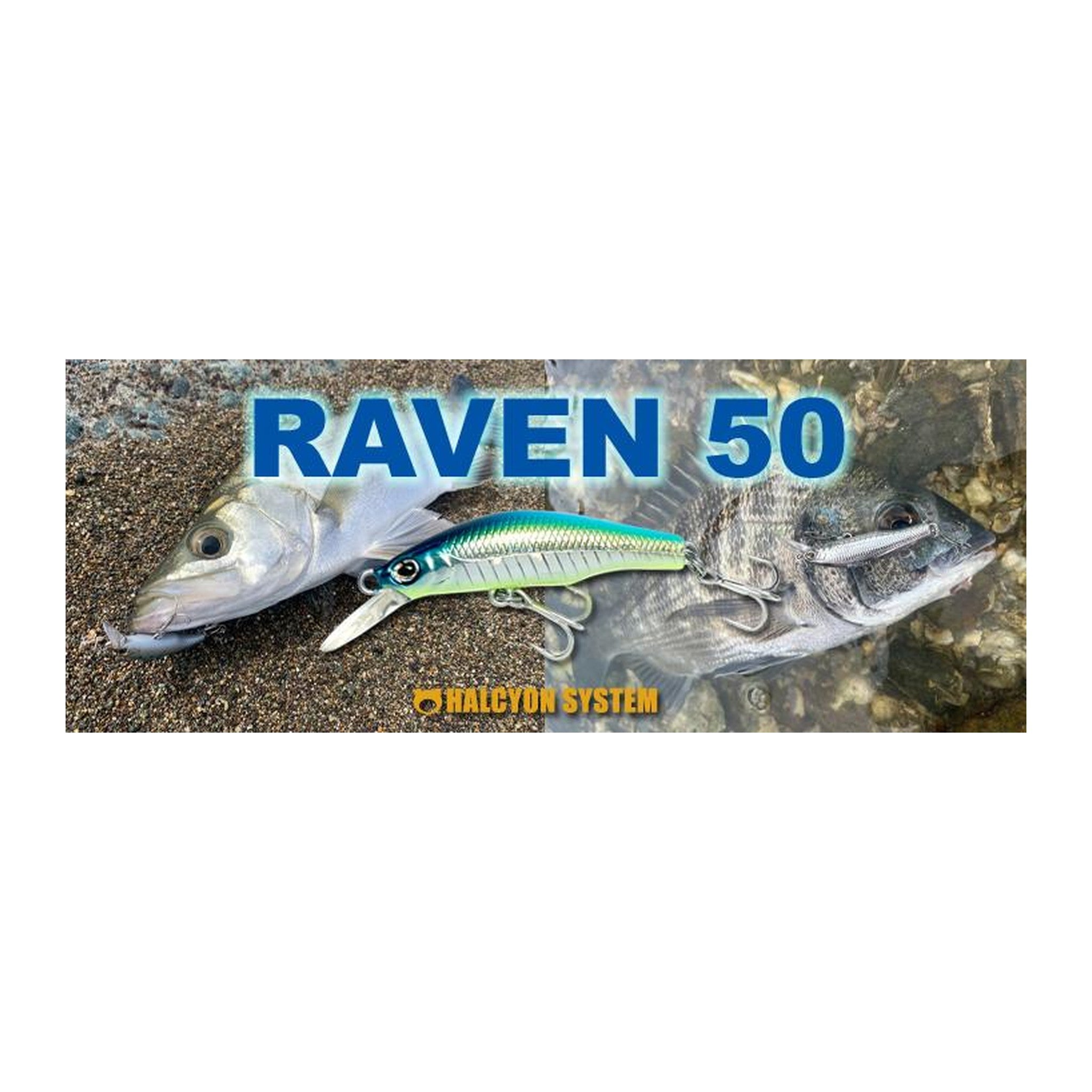 HAL Raven 50US Trout — official HAL product photo