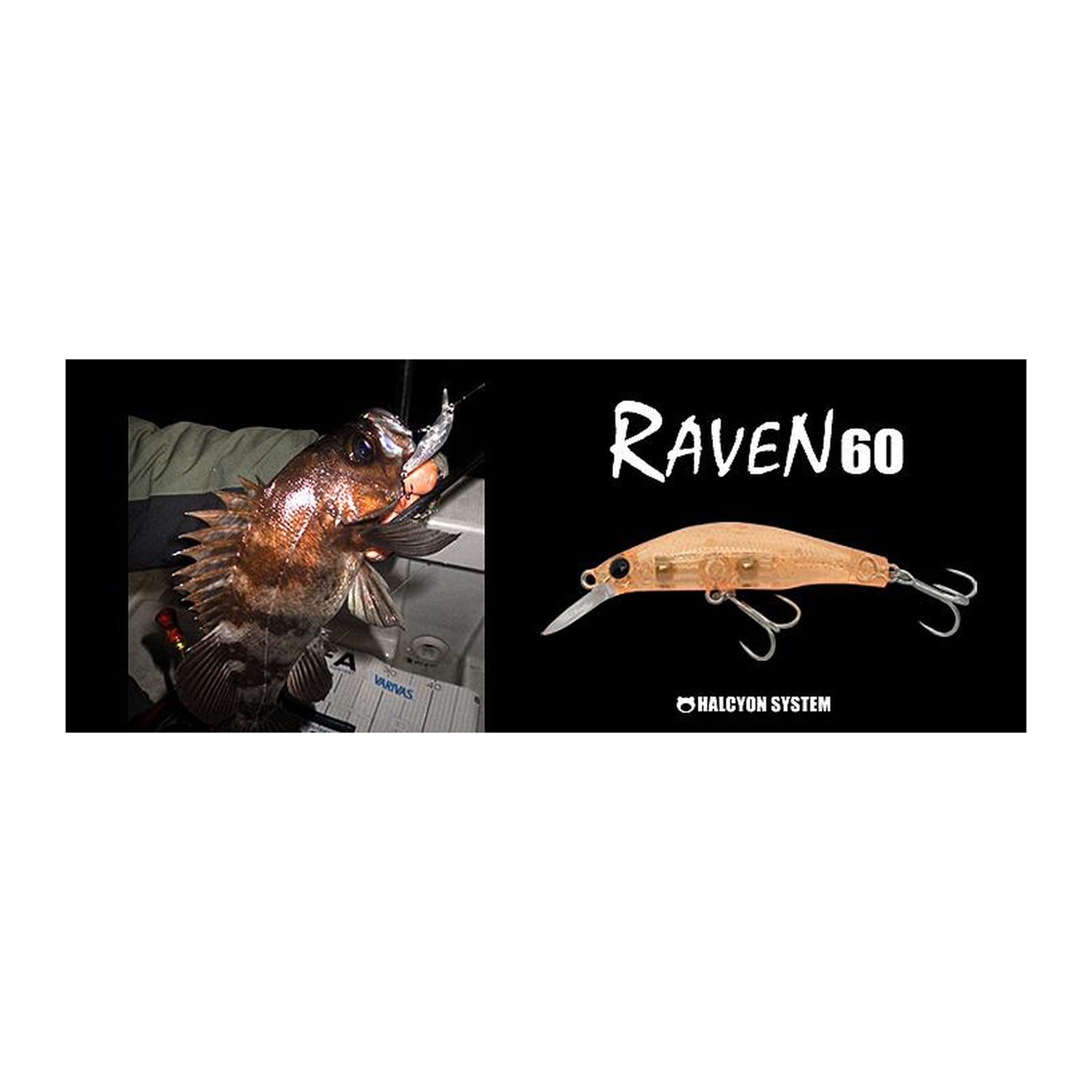 HAL Raven 60US Trout — official HAL product photo