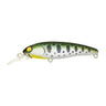 Salmon Fry