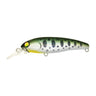 #14 Salmon Fry