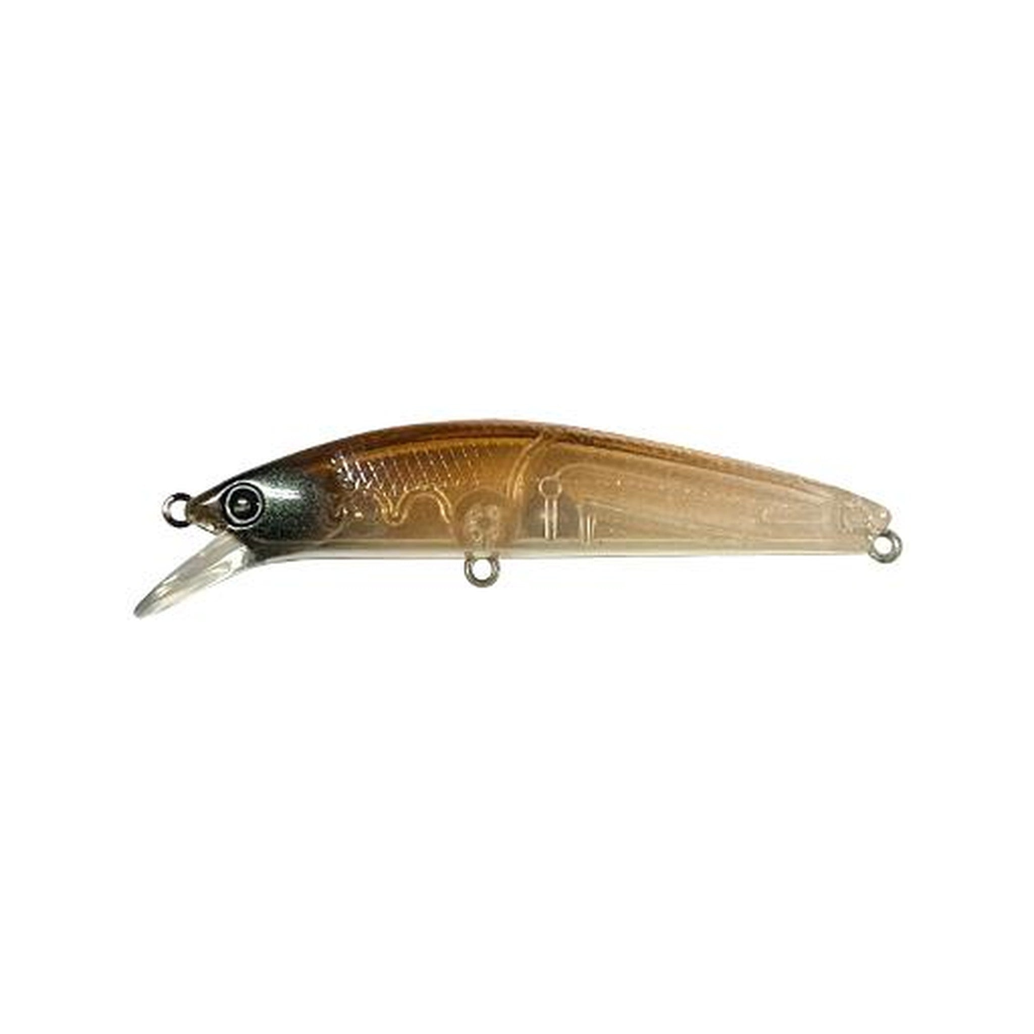 HAL Taphios F in 19 Ika — official HAL product photo