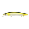 #HM100-004 Sagami Master