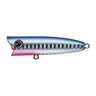 Blue Back Red Gill
