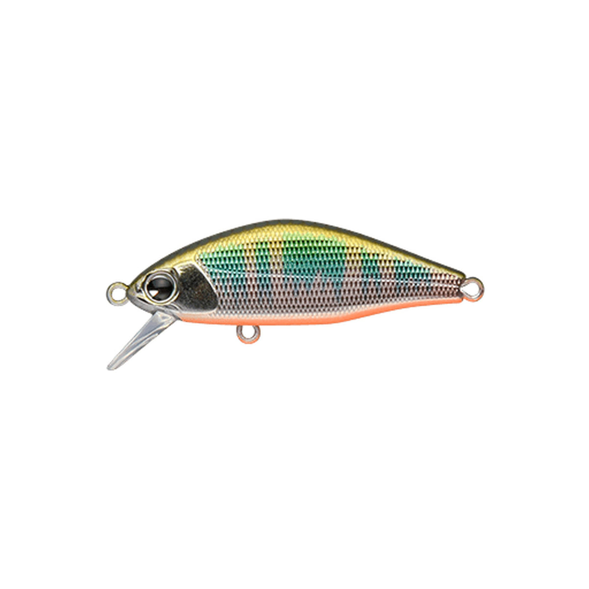 ima Issen 45S MAX in Oikawa Orange Belly — official ima product photo