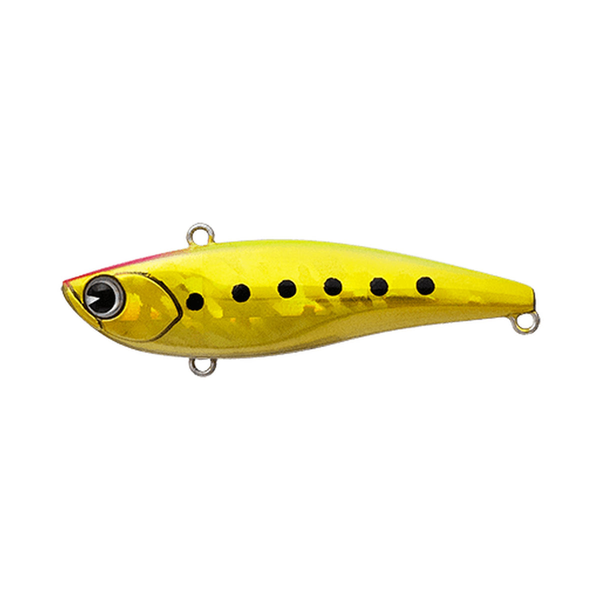 Ima Raikiri 70 in Gold Chart Iwashi — official Ima product photo