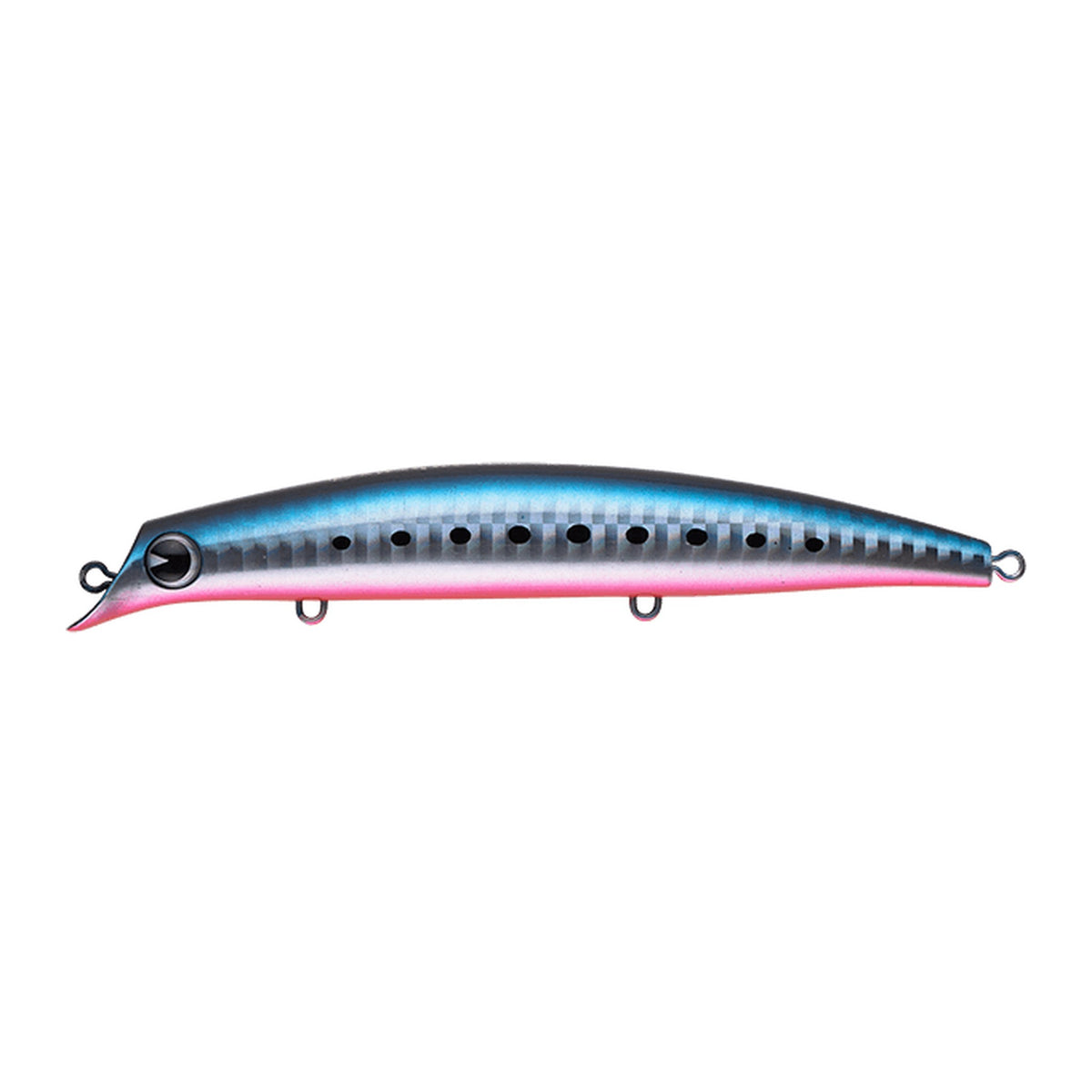 Ima Sasuke 120 Reppa in Mako Iwashi — official Ima product photo