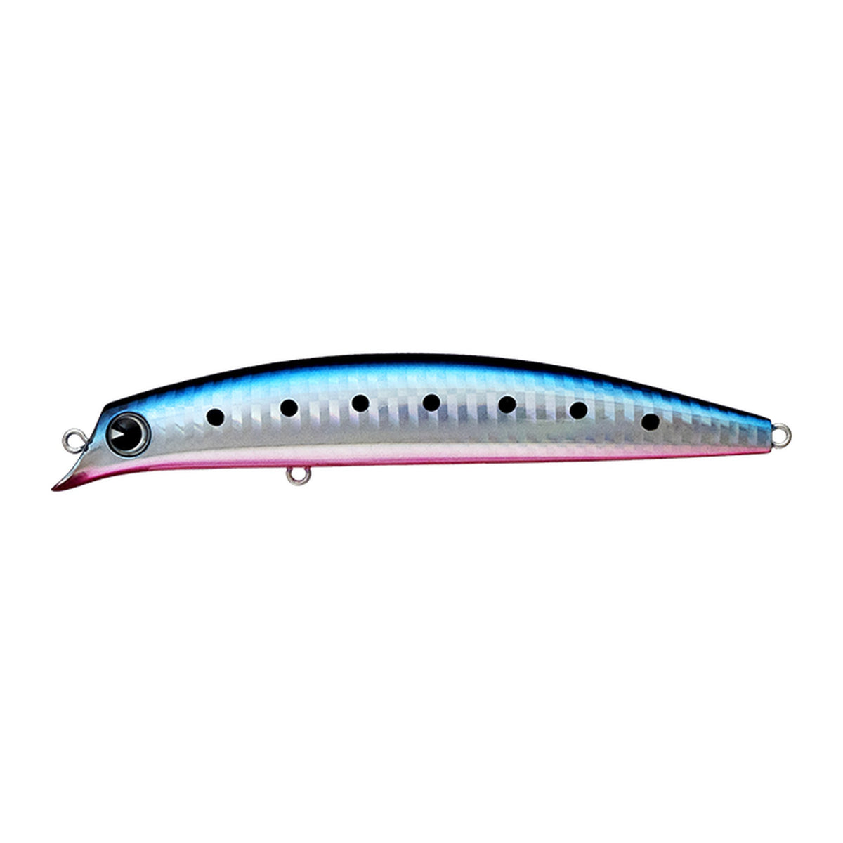 Ima Sasuke 120 Rekku in Mako Iwashi — official Ima product photo
