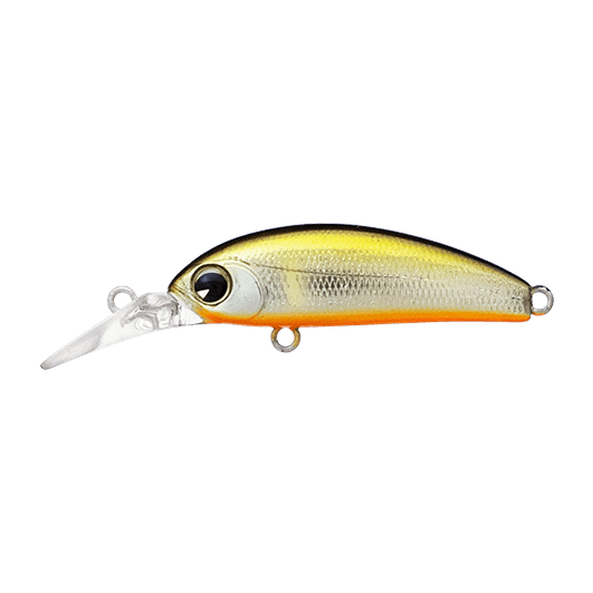 ima Sukari 37S Deep in Orange Belly Ayu — official ima product photo