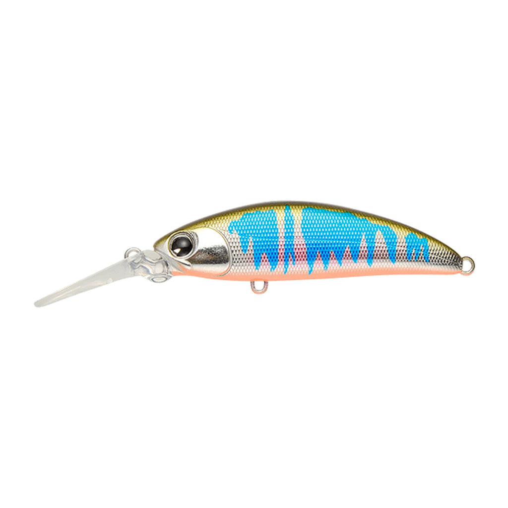 ima Sukari 50SS Deep in Oikawa Orange Belly — official ima product photo