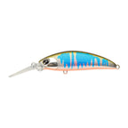 ima Sukari 50SS Deep in Oikawa Orange Belly — official ima product photo