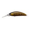 Smoke Gold Black Belly