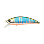 ima Sukari 50SS in Oikawa Orange Belly — official ima product photo