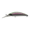 Rainbow Trout