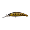 Smoke Gold Black Belly