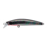 Titan Black Red Belly