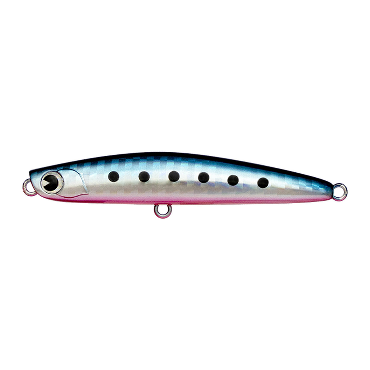 Ima Yoichi 70 Diet in Mako Iwashi — official Ima product photo