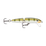 YP - Yellow Perch