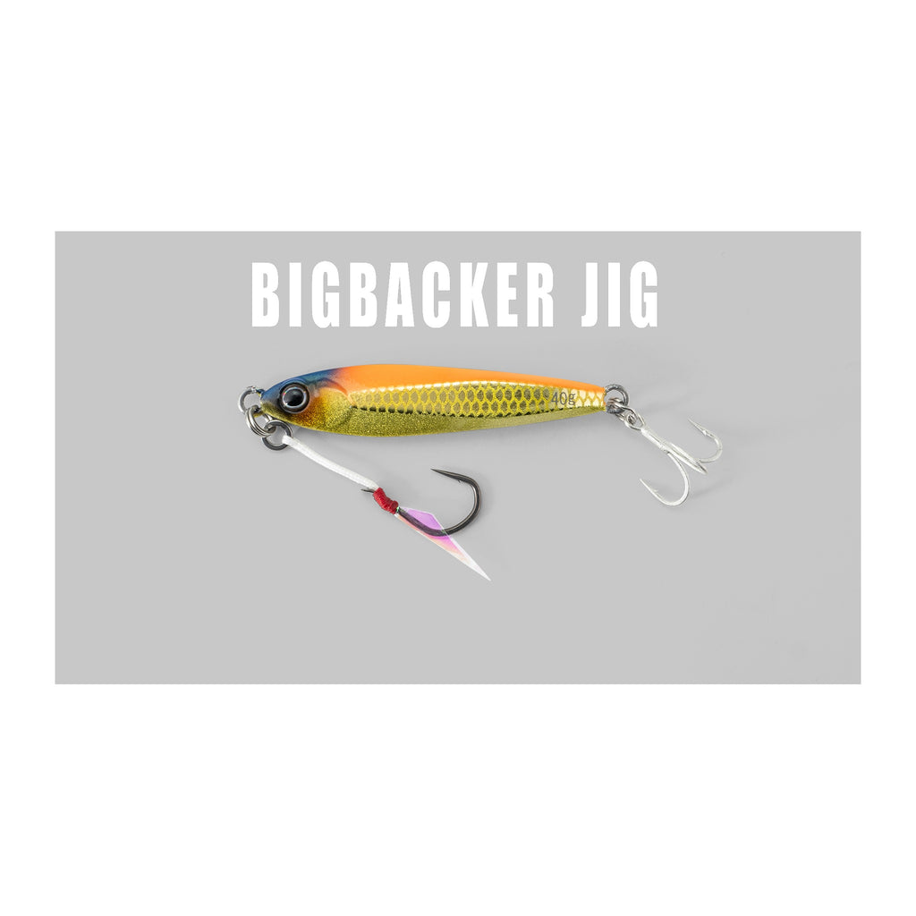 Jackall Big Backer Jig 30g — official Jackall product photo