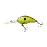 Brown Back Chartreuse