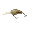 Stain Craw