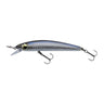 Lively Shad