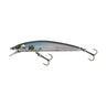 Super Clear Wakasagi (Pond Smelt)