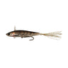 Marmo Shrimp