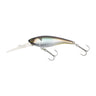 Slimy Wakasagi (Pond Smelt)