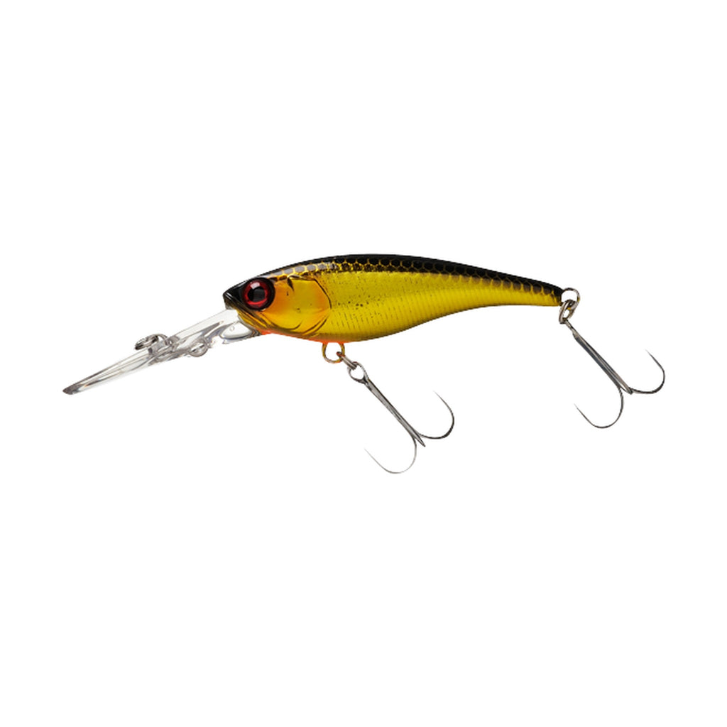 Jackall Soul Shad 62DR SP in HL Kin Kuro — official Jackall product photo