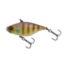 Pond Gill
