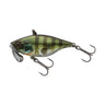 Low-Light Gill