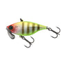 Pond Clown
