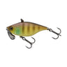 Pond Gill