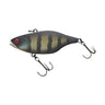 Black King Gill