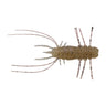Gasagasa Striped Shrimp