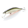 TSD Tennessee Shad