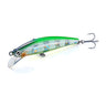 ZGG Zebra Glow Green