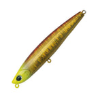 Palms Curref 95S - MG-482 Red-Gold Chart Head